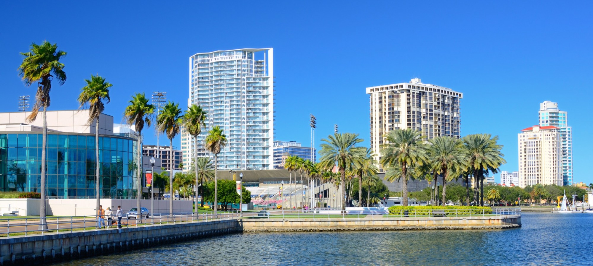 Endodontics St. Petersburg FL, Endodontist